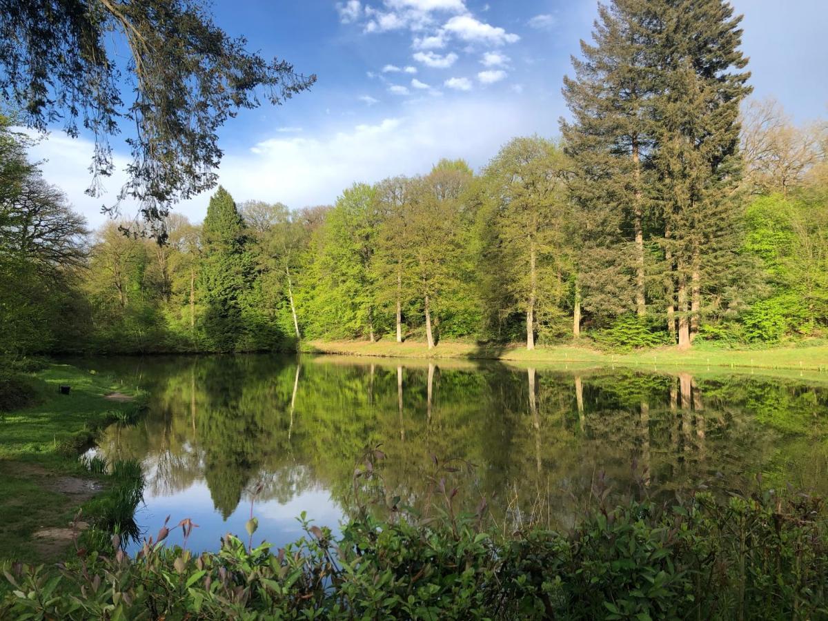 Le Temps D'Un Souffle - Gite Rural 3 Epis Sivry-Rance Bagian luar foto